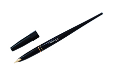 Platinum Carbon Desk Fountain Pen EF