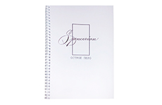 Каллиграфические прописи Spencerian